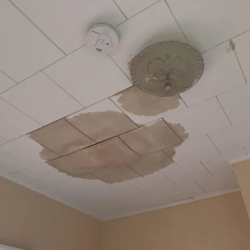 Ceiling Water Damage Repair in East Bernard, TX